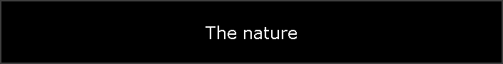 The nature