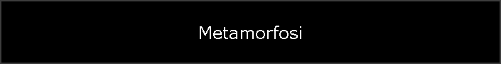 Metamorfosi